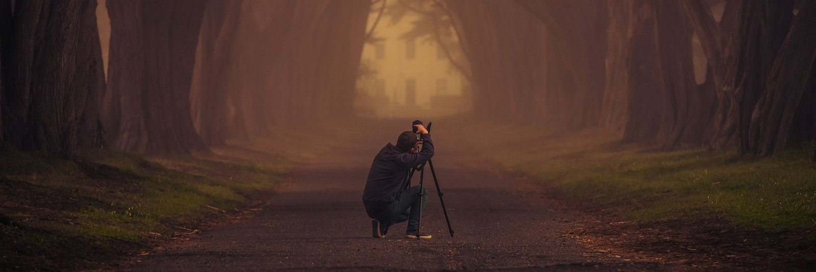 A photographer crouched behind a tripod on a misty forest road at first light